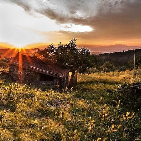 Fattoria La Tavernuzza Grassina Luaran gambar