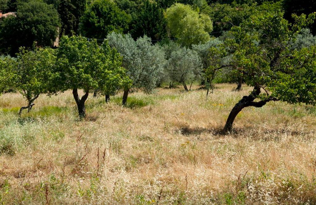 Fattoria La Tavernuzza Grassina Bilik gambar