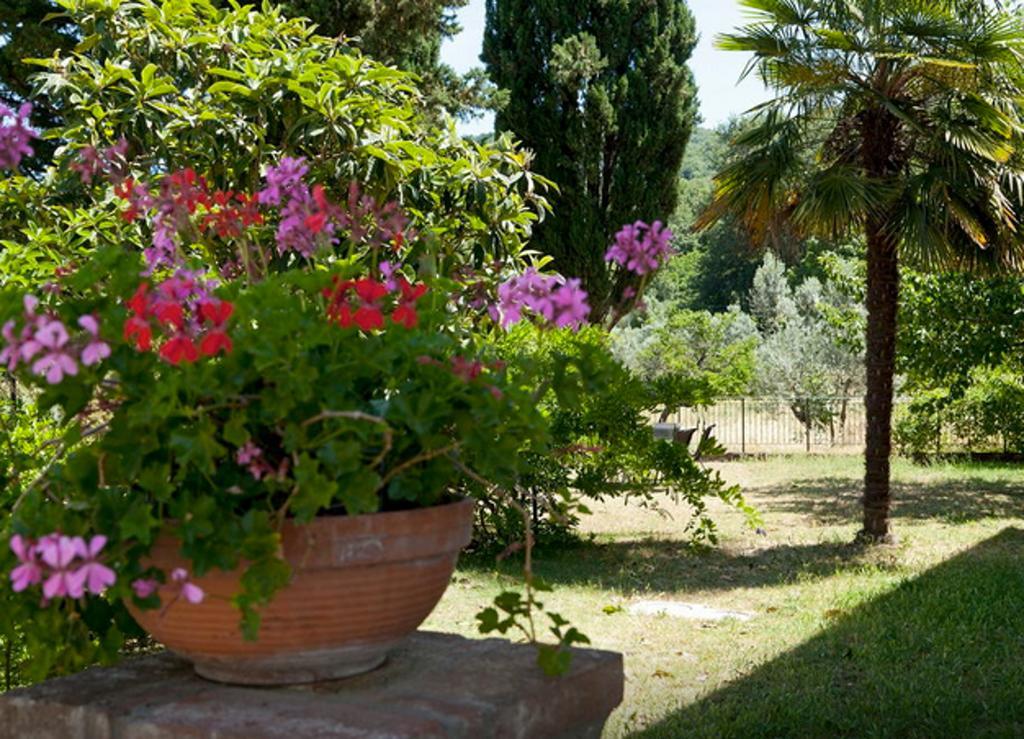 Fattoria La Tavernuzza Grassina Bilik gambar