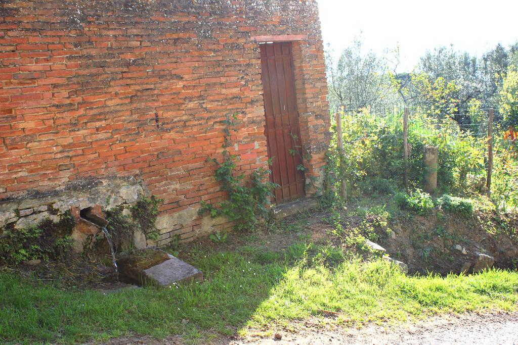 Fattoria La Tavernuzza Grassina Luaran gambar