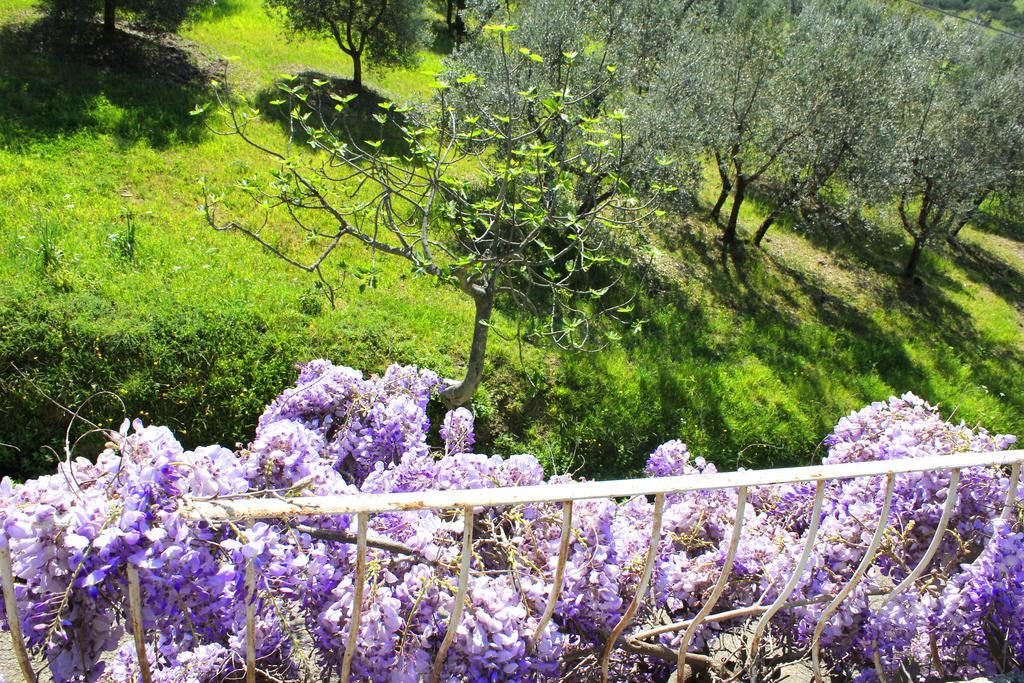 Fattoria La Tavernuzza Grassina Luaran gambar