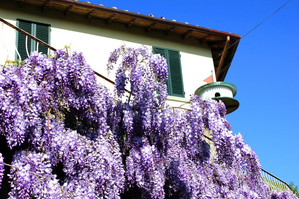 Fattoria La Tavernuzza Grassina Luaran gambar