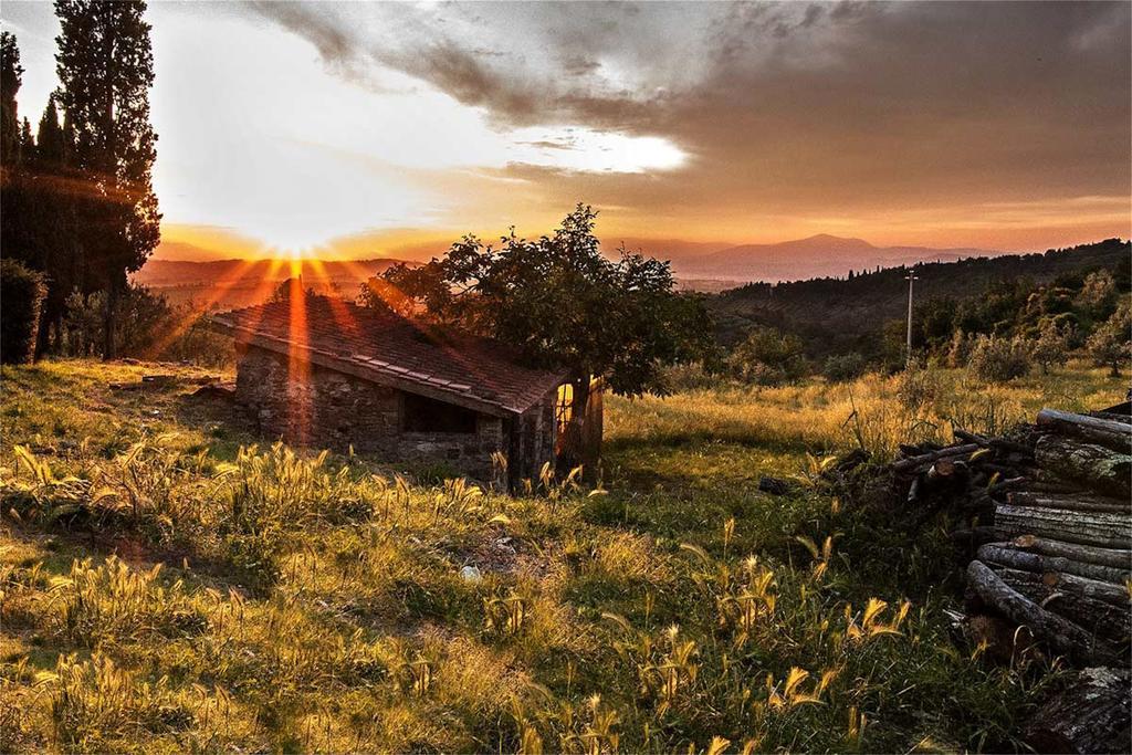 Fattoria La Tavernuzza Grassina Luaran gambar
